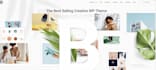 design wordpress website or fix wordpress