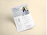 create your professional minimalist CV or resume