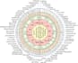 give a detailed numerology reading