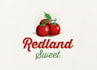 do a unique creative custom tomato logo with fast delivery