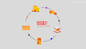 make 2d animation videos, explainer videos, character animation