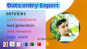 virtual assistant, data entry ,web research and copy paste