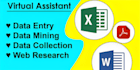 do data entry, web scraping in low price