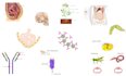 scientific illustration, diagram and figure