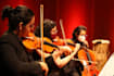do a month of violin lessons