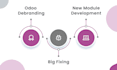 install, configure, develop, or customise modules in odoo