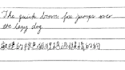 handwrite traditional chinese or english content on paper