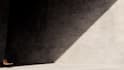do fast render with good quality