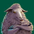 make digital art of animals and flowers for you