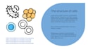 design engaging school presentations