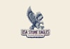 do good looking creative hand carved eagles stone logo