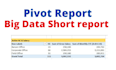 do specialist excel pivot table report