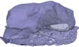 do precision photogrammetry data processing