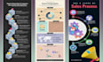 design professional unique,creative,business,and bol infographics within 24 hrs
