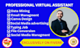 be professional virtual assistant for lead generation typing copy paste any task