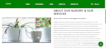 do responsive  frontend and backend web development for you