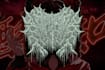 draw brutal death or black metal logo