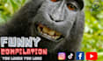 provide laugh out loud professional funny video compilation services