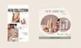 design custom animated stories, ads, reels, posts