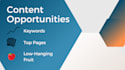 conduct an SEO content audit