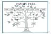 create genogram or family tree or pedigree