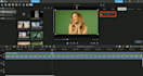 remove green screen video and photo
