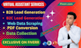 do web research, data entry, copy paste, web scraping and virtual assistant
