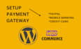 the setup payment gateway for woocommerce