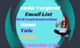 do targeted perfect b2b lead generation for any business industry