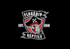 make wonderful pirate logo with satisfaction guarantee