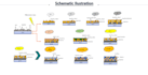 create scientific diagrams, figures, and graphical abstracts