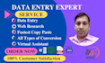 do accurate data entry copy paste web research PDF to excel work