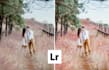 edit your wedding photography in lightroom