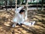 record authentic tai chi demonstration videos for your content