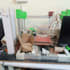do your embedded system, microcontrollers, arduino programming, iot projects