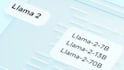 do custom end to end ai, ml, gpt, llama and nlp projects