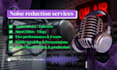 do professional audio noise reduction within 1 hour