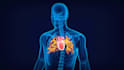 create scientifically accurate 3d medical and pharmaceutical animations