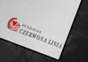 create logo design for company