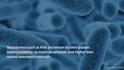design a kickass canva deck for you