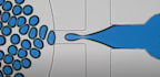 do biomedical engineering research project related to nanotechnology, material