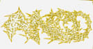 make a graffiti with your name