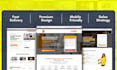 design a wordpress lead capture squeeze page in 24 hours