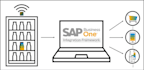 do sap b1 developments