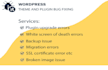 fix wordpress errors, bugs, refactor, provide wp help