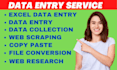 do excel data entry, copy paste, web scraping, file conversion