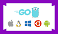 be your dedicated golang developer