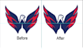 provide professional vector tracing and illustration services