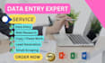 do perfect data entry, copy paste, web research, and excel data entry