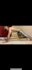 be your personal trainer